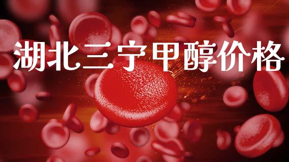 湖北三宁甲醇价格 甲醇 第1张-化工行情,甲基化工,甲醇msds-起点化工网 湖北三宁甲醇价格 (https://huagong.lansai.wang/) 甲醇 第1张