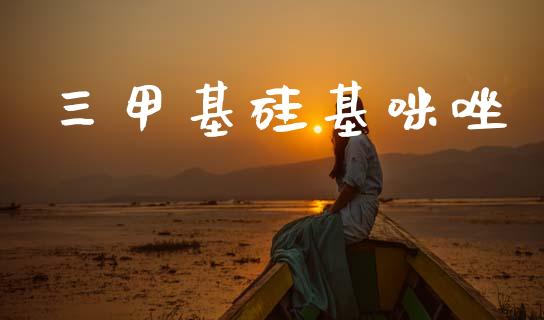 三甲基硅基咪唑 (https://huagong.lansai.wang/) 甲基化工 第1张