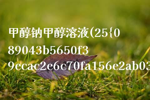 甲醇钠甲醇溶液(25%甲醇钠甲醇溶液) (https://huagong.lansai.wang/) 甲醇 第1张