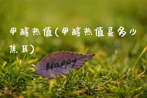 甲醇热值(甲醇热值是多少焦耳) (https://huagong.lansai.wang/) 甲醇 第1张