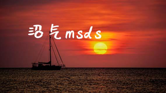 沼气msds (https://huagong.lansai.wang/) msds 第1张