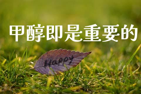 甲醇即是重要的 甲醇 第1张-化工行情,甲基化工,甲醇msds-起点化工网 甲醇即是重要的 (https://huagong.lansai.wang/) 甲醇 第1张