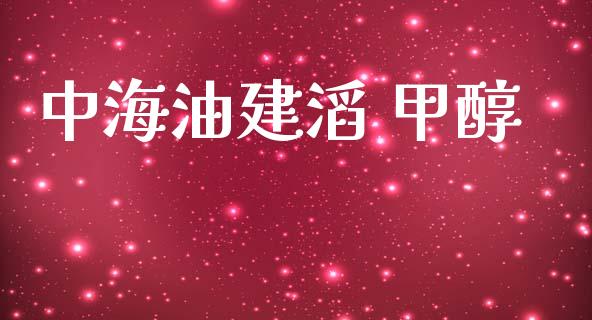 中海油建滔 甲醇 (https://huagong.lansai.wang/) 甲醇 第1张