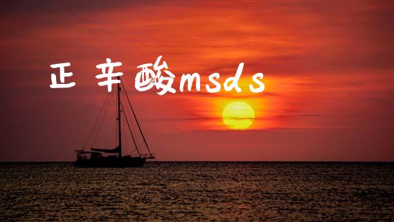 正辛酸msds (https://huagong.lansai.wang/) msds 第1张