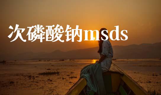 次磷酸钠msds (https://huagong.lansai.wang/) msds 第1张