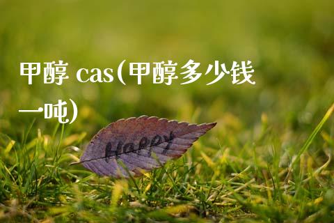 甲醇 cas(甲醇多少钱一吨) (https://huagong.lansai.wang/) 甲醇 第1张