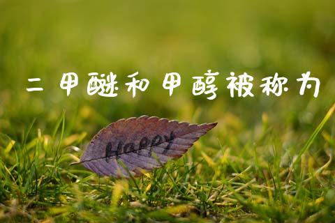 二甲醚和甲醇被称为 (https://huagong.lansai.wang/) 甲醇 第1张