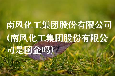 南风化工集团股份有限公司(南风化工集团股份有限公司是国企吗) (https://huagong.lansai.wang/) 化工行情 第1张