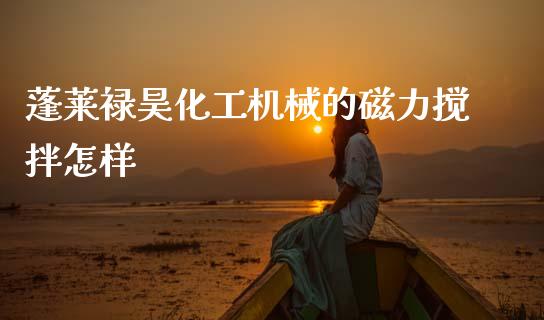 蓬莱禄昊化工机械的磁力搅拌怎样 (https://huagong.lansai.wang/) 化工行情 第1张