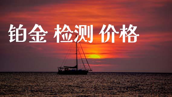 铂金 检测 价格 (https://huagong.lansai.wang/) 化工价格 第1张