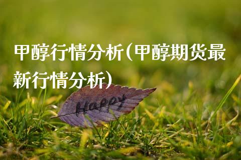 甲醇行情分析(甲醇期货最新行情分析) (https://huagong.lansai.wang/) 甲醇 第1张