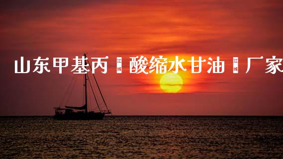 山东甲基丙烯酸缩水甘油酯厂家 (https://huagong.lansai.wang/) 甲基化工 第1张