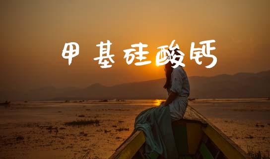 甲基硅酸钙 (https://huagong.lansai.wang/) 甲基化工 第1张