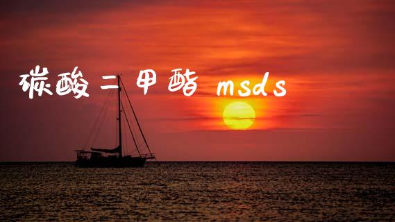 碳酸二甲酯 msds (https://huagong.lansai.wang/) msds 第1张