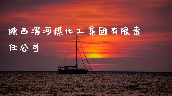 陕西渭河煤化工集团有限责任公司 (https://huagong.lansai.wang/) 化工行情 第1张
