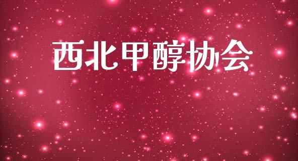 西北甲醇协会 (https://huagong.lansai.wang/) 甲醇 第1张