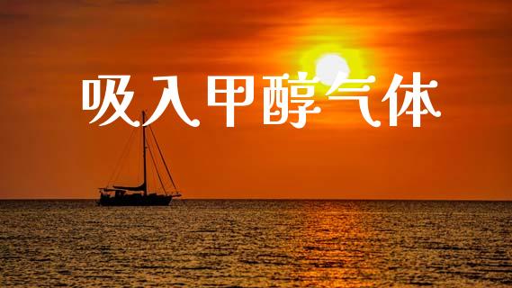 吸入甲醇气体 (https://huagong.lansai.wang/) 甲醇 第1张