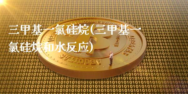 三甲基一氯硅烷(三甲基一氯硅烷和水反应) (https://huagong.lansai.wang/) 甲基化工 第1张