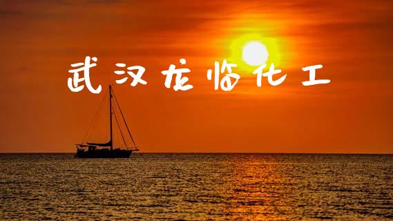 武汉龙临化工 (https://huagong.lansai.wang/) 化工行情 第1张