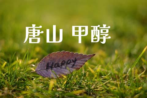 唐山 甲醇 甲醇 第1张-化工行情,甲基化工,甲醇msds-起点化工网 唐山 甲醇 (https://huagong.lansai.wang/) 甲醇 第1张