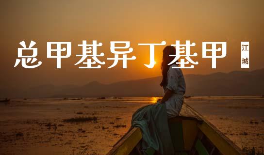 总甲基异丁基甲酮 (https://huagong.lansai.wang/) 甲基化工 第1张