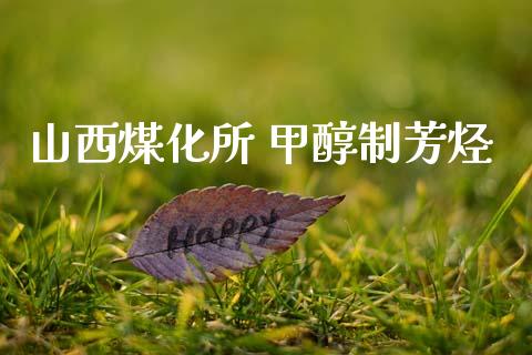 山西煤化所 甲醇制芳烃 (https://huagong.lansai.wang/) 甲醇 第1张