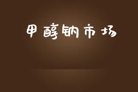 甲醇钠市场 (https://huagong.lansai.wang/) 甲醇 第1张
