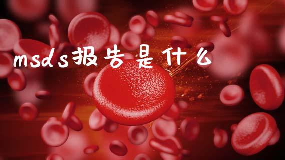 msds报告是什么 (https://huagong.lansai.wang/) msds 第1张