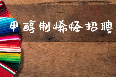 甲醇制烯烃招聘 (https://huagong.lansai.wang/) 甲醇 第1张